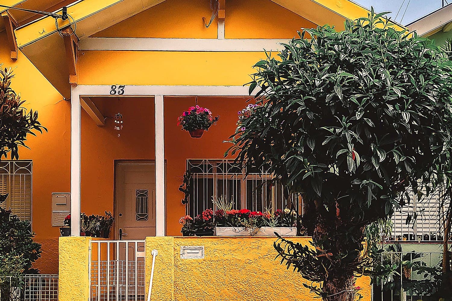 Professional Florida property planning